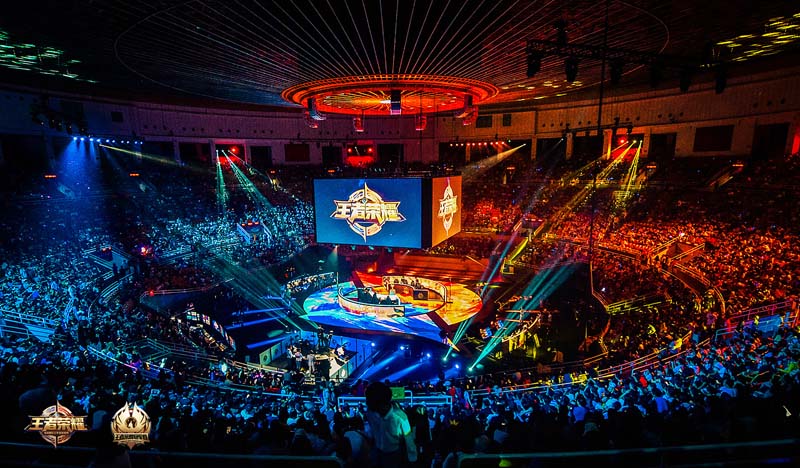 针对网友提 针对网友提